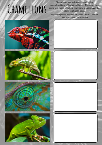 Reptiles and Amphibians Art worksheets, analysis, cover home learning