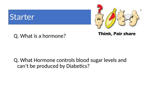 The Endocrine System (AQA)