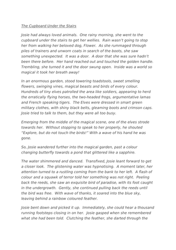 The cupboard under the stairs - a portal story - Year 4