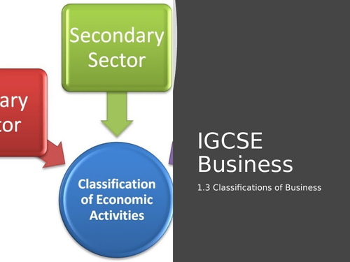 IGCSE Business Classifications of Business (1.3) Lesson Resources