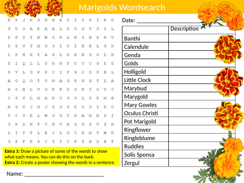 Marigolds Wordsearch Nature Plants Gardening Starter Settler Activity Homework Cover Lesson