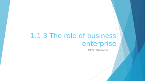 1.1.3 The role of business enterprise