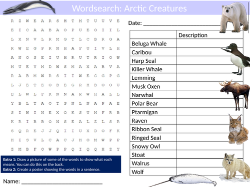 2 x Arctic Creatures Wordsearch Puzzle Sheet Keywords Settler Starter Cover Lesson Animals Nature