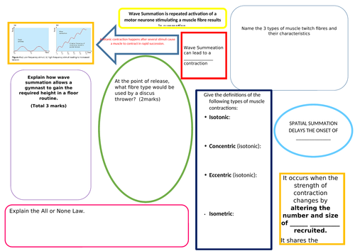 Neuromuscular Revision Mat