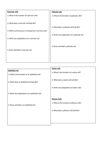 Specialised Cells KS3- Foundation reading Worksheet