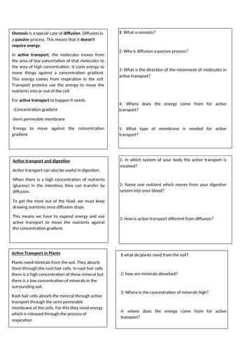 Transport in Cells KS3- Foundation Reading work sheet