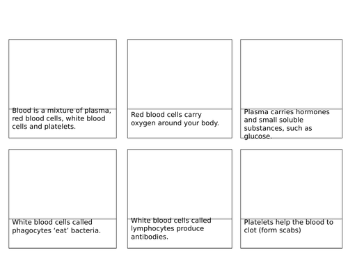 AQA Tissues, Organs and Organ Systems Complete Topic