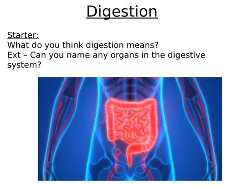 AQA Enzymes and Digestion Complete Topic