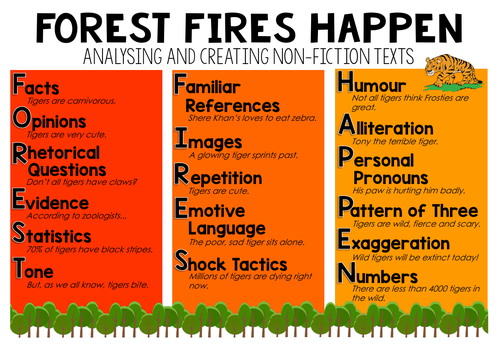 Forest Fires Happen