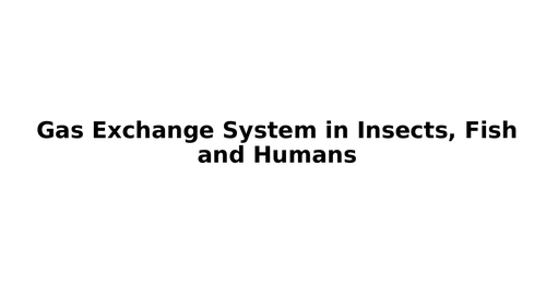 A level Biology: Gas exchange system in Insects, Fish and Humans