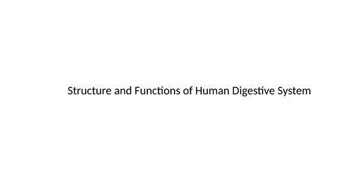 A level Biology: Human Digestive System lesson presentation