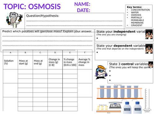 Osmosis Core Practical Mat