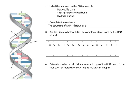 AQA GCSE Biology (9-1) B13.4 - DNA and the genome FULL LESSON