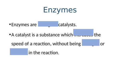 GCSE Biology: Enzyme Activities