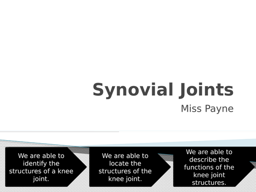 Simple Synovial Joints lesson