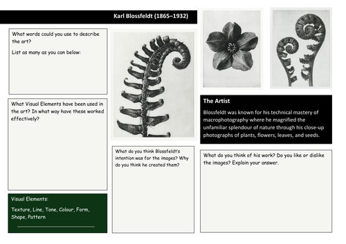 Karl Blossfeldt Analysis