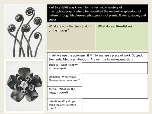 Karl Blossfeldt SEMI Analysis