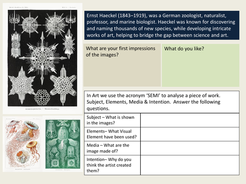 Ernst Haeckel SEMI Analysis