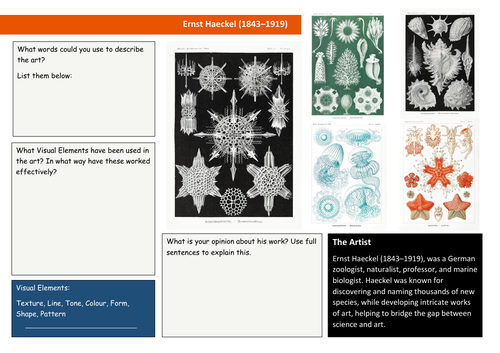 Ernst Haeckel Analysis sheet