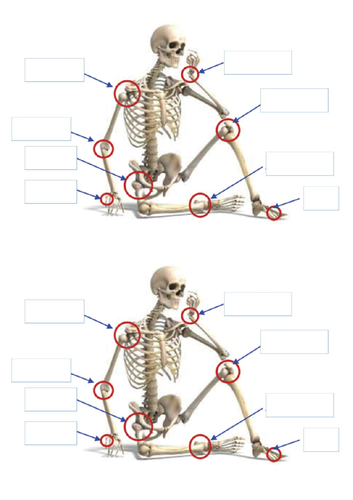 Body Joints Diagram