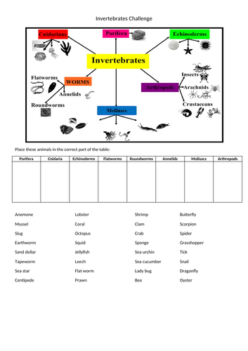 year 7 invertebrate classification challenge teaching resources