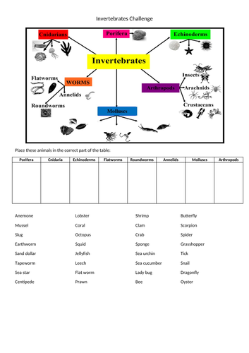 year 7 invertebrate classification challenge teaching