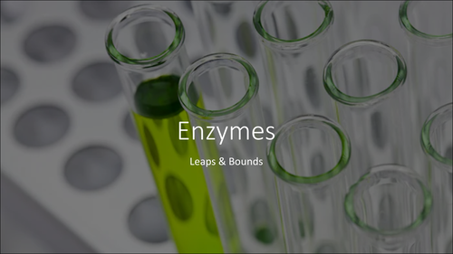 Introduction to Enzymes