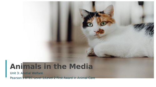 Animals in the Media (BTEC)