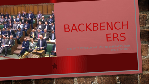 AS/A Level Politics Edexcel Parliament- Backbenchers Significance