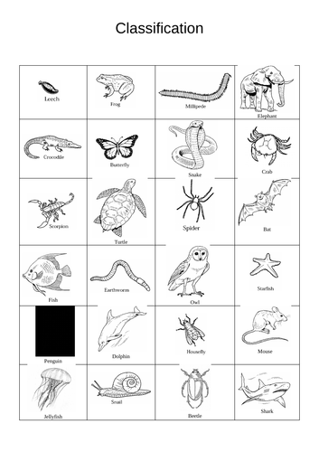 Classification cut and stick