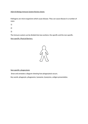 Immune System Revision Workbook