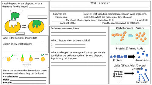 Enzyme cheat sheet