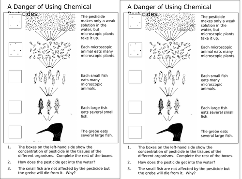 Food Chains and Webs