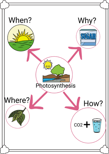 Photosynthesis Word Web