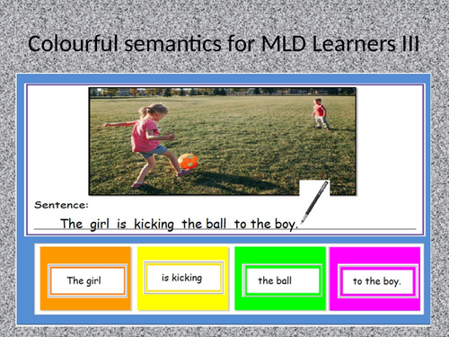 Who, What, Where, To Whom - Colourful Semantics Cut-Up Sentences Activity for MLD learners