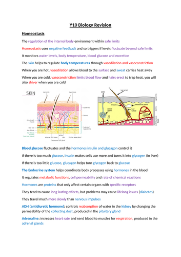 Edexcel IGCSE Biology Grade 9 Revision Notes