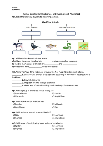 Animal Classification (Vertebrates and Invertebrates) | Distance Learning