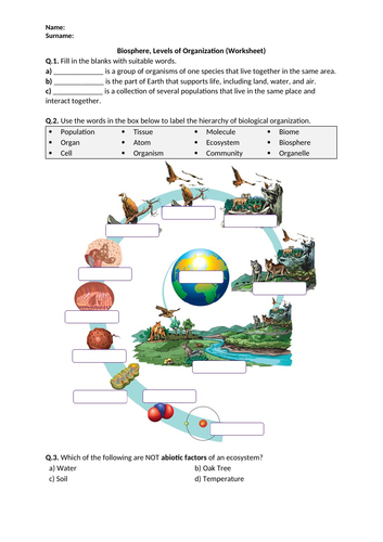 Biosphere, Levels of Organization - Worksheet | Distance Learning