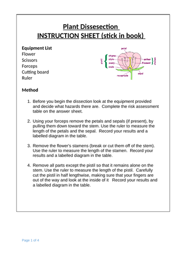 Structure of a plant