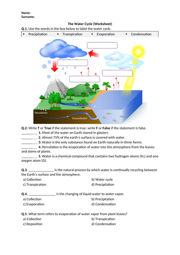 The Water Cycle - Worksheet | Distance Learning | Teaching Resources