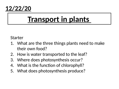 Transport in plants KS3