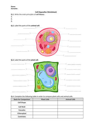 Cell Organelles Worksheet Distance Learning Teaching Resources