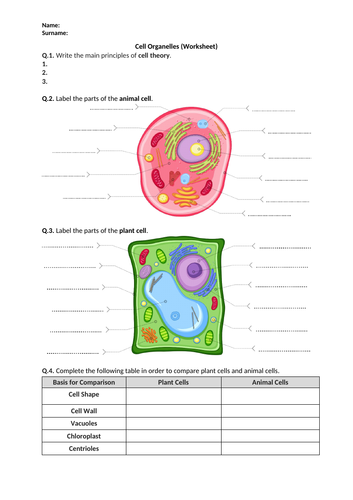 Cell Organelles - Worksheet | Distance Learning