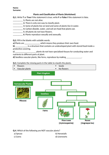Plant Classification - Worksheet | Distance Learning