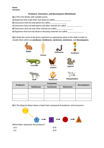 Producers Consumers And Decomposers Worksheet Distance Learning Teaching Resources