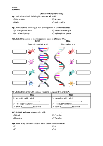 dna-and-rna-worksheet-distance-learning-teaching-resources