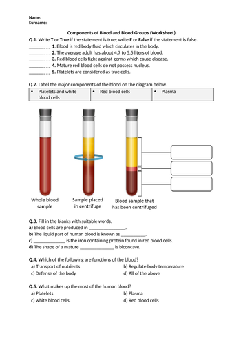 Components of Blood and Blood Groups - Worksheet | Distance Learning