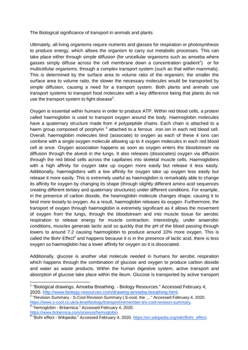 A* A level Biology Essay- The Biological significance of Transport