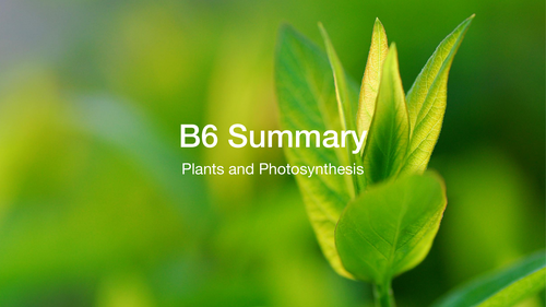 Edexcel GCSE Biology - SB4 Overview