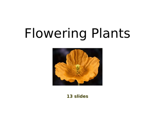 Flowering Plants - PowerPoint Presentations